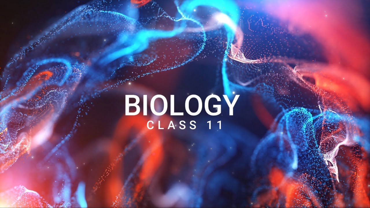Biology class 11